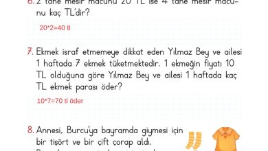 2. Sınıf Meb Yayınları Matematik Ders Kitabı Sayfa 255 Cevapları