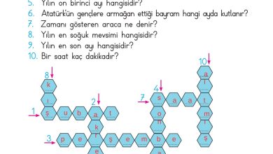 2. Sınıf Meb Yayınları Matematik Ders Kitabı Sayfa 256 Cevapları