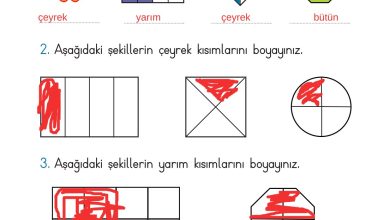 2. Sınıf Meb Yayınları Matematik Ders Kitabı Sayfa 257 Cevapları