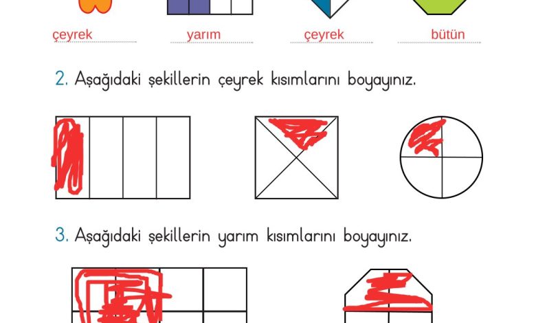 2. Sınıf Meb Yayınları Matematik Ders Kitabı Sayfa 257 Cevapları