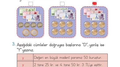 2. Sınıf Meb Yayınları Matematik Ders Kitabı Sayfa 258 Cevapları