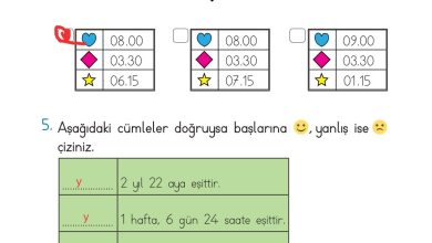 2. Sınıf Meb Yayınları Matematik Ders Kitabı Sayfa 259 Cevapları