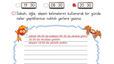 2. Sınıf Meb Yayınları Matematik Ders Kitabı Sayfa 260 Cevapları