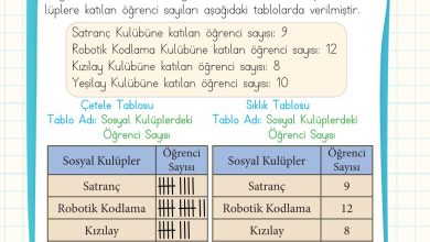 2. Sınıf Meb Yayınları Matematik Ders Kitabı Sayfa 263 Cevapları