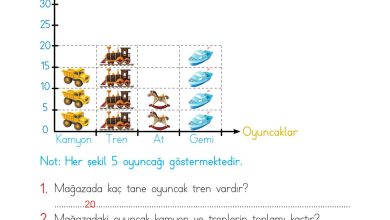 2. Sınıf Meb Yayınları Matematik Ders Kitabı Sayfa 266 Cevapları