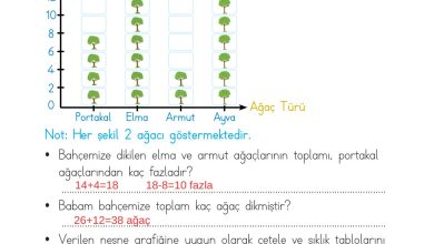 2. Sınıf Meb Yayınları Matematik Ders Kitabı Sayfa 269 Cevapları