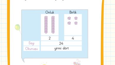 2. Sınıf Meb Yayınları Matematik Ders Kitabı Sayfa 27 Cevapları