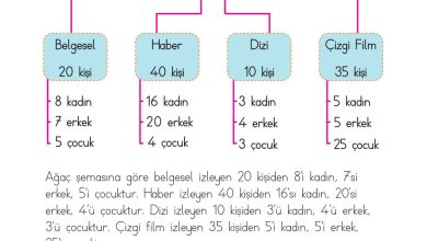 2. Sınıf Meb Yayınları Matematik Ders Kitabı Sayfa 270 Cevapları