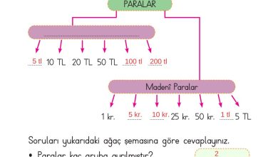 2. Sınıf Meb Yayınları Matematik Ders Kitabı Sayfa 271 Cevapları