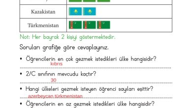 2. Sınıf Meb Yayınları Matematik Ders Kitabı Sayfa 272 Cevapları