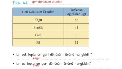 2. Sınıf Meb Yayınları Matematik Ders Kitabı Sayfa 273 Cevapları