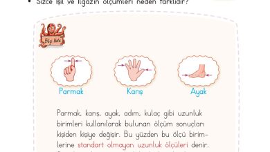 2. Sınıf Meb Yayınları Matematik Ders Kitabı Sayfa 276 Cevapları