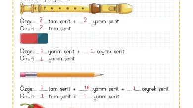 2. Sınıf Meb Yayınları Matematik Ders Kitabı Sayfa 279 Cevapları