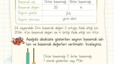 2. Sınıf Meb Yayınları Matematik Ders Kitabı Sayfa 28 Cevapları