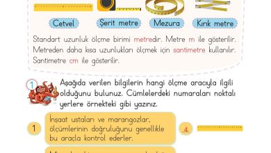 2. Sınıf Meb Yayınları Matematik Ders Kitabı Sayfa 282 Cevapları