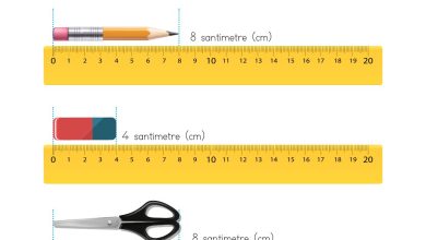 2. Sınıf Meb Yayınları Matematik Ders Kitabı Sayfa 283 Cevapları