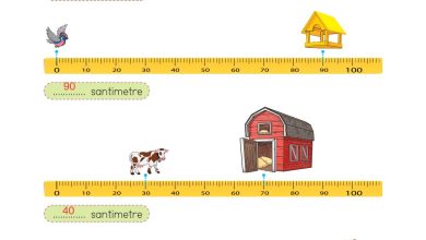 2. Sınıf Meb Yayınları Matematik Ders Kitabı Sayfa 285 Cevapları