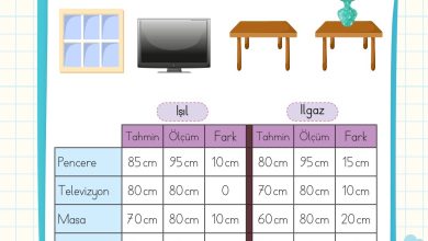 2. Sınıf Meb Yayınları Matematik Ders Kitabı Sayfa 288 Cevapları