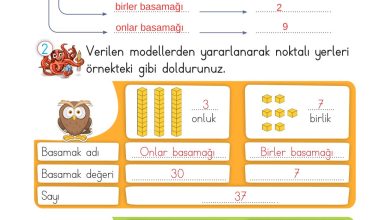 2. Sınıf Meb Yayınları Matematik Ders Kitabı Sayfa 29 Cevapları