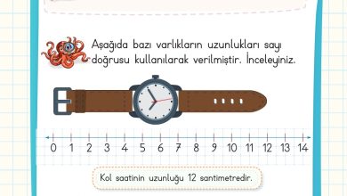 2. Sınıf Meb Yayınları Matematik Ders Kitabı Sayfa 290 Cevapları