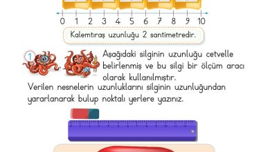 2. Sınıf Meb Yayınları Matematik Ders Kitabı Sayfa 291 Cevapları