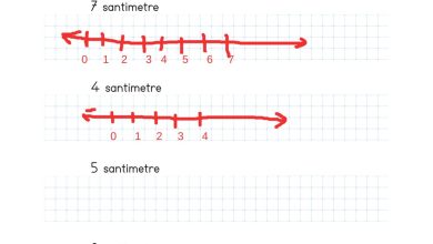 2. Sınıf Meb Yayınları Matematik Ders Kitabı Sayfa 292 Cevapları