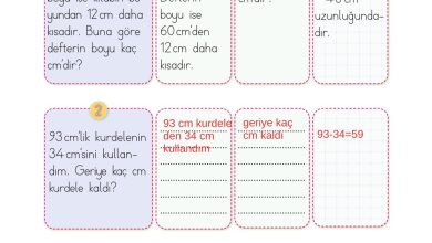 2. Sınıf Meb Yayınları Matematik Ders Kitabı Sayfa 295 Cevapları