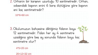 2. Sınıf Meb Yayınları Matematik Ders Kitabı Sayfa 296 Cevapları