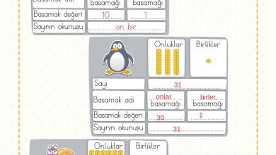 2. Sınıf Meb Yayınları Matematik Ders Kitabı Sayfa 30 Cevapları