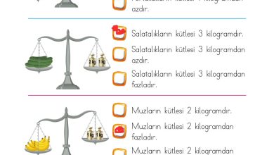 2. Sınıf Meb Yayınları Matematik Ders Kitabı Sayfa 302 Cevapları