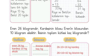 2. Sınıf Meb Yayınları Matematik Ders Kitabı Sayfa 305 Cevapları