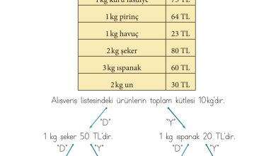 2. Sınıf Meb Yayınları Matematik Ders Kitabı Sayfa 306 Cevapları