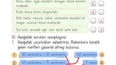 2. Sınıf Meb Yayınları Matematik Ders Kitabı Sayfa 307 Cevapları