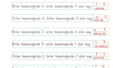 2. Sınıf Meb Yayınları Matematik Ders Kitabı Sayfa 31 Cevapları