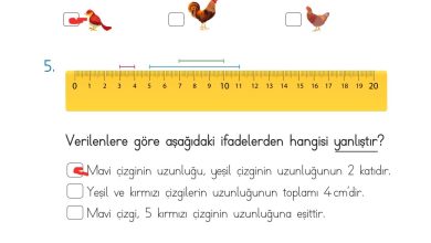 2. Sınıf Meb Yayınları Matematik Ders Kitabı Sayfa 310 Cevapları