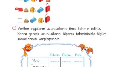 2. Sınıf Meb Yayınları Matematik Ders Kitabı Sayfa 311 Cevapları