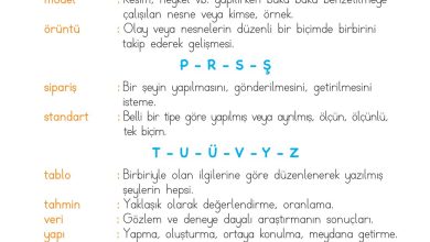 2. Sınıf Meb Yayınları Matematik Ders Kitabı Sayfa 313 Cevapları