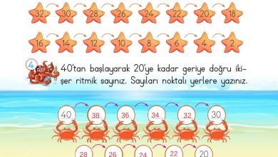 2. Sınıf Meb Yayınları Matematik Ders Kitabı Sayfa 35 Cevapları