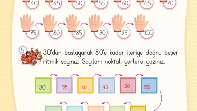 2. Sınıf Meb Yayınları Matematik Ders Kitabı Sayfa 36 Cevapları