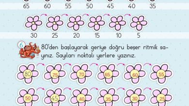 2. Sınıf Meb Yayınları Matematik Ders Kitabı Sayfa 37 Cevapları