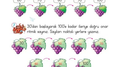 2. Sınıf Meb Yayınları Matematik Ders Kitabı Sayfa 38 Cevapları