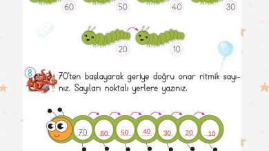 2. Sınıf Meb Yayınları Matematik Ders Kitabı Sayfa 39 Cevapları