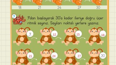 2. Sınıf Meb Yayınları Matematik Ders Kitabı Sayfa 40 Cevapları