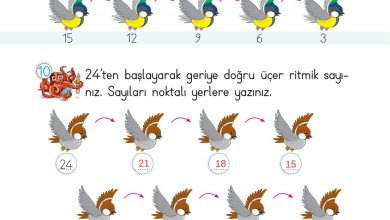 2. Sınıf Meb Yayınları Matematik Ders Kitabı Sayfa 41 Cevapları