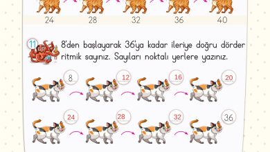 2. Sınıf Meb Yayınları Matematik Ders Kitabı Sayfa 42 Cevapları