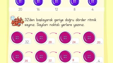 2. Sınıf Meb Yayınları Matematik Ders Kitabı Sayfa 43 Cevapları