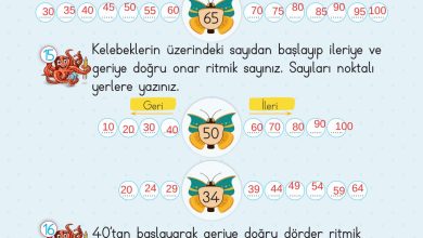 2. Sınıf Meb Yayınları Matematik Ders Kitabı Sayfa 45 Cevapları