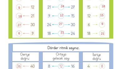 2. Sınıf Meb Yayınları Matematik Ders Kitabı Sayfa 46 Cevapları