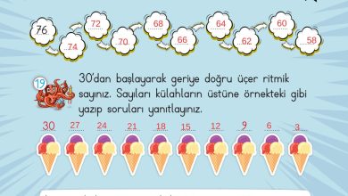 2. Sınıf Meb Yayınları Matematik Ders Kitabı Sayfa 47 Cevapları