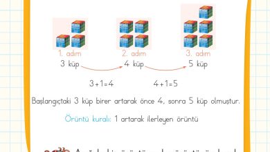 2. Sınıf Meb Yayınları Matematik Ders Kitabı Sayfa 48 Cevapları